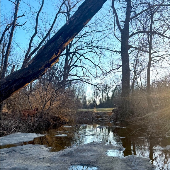 MAKE ME AN OFFER! BUNDLE & SAVE! - Picture 1 of 1